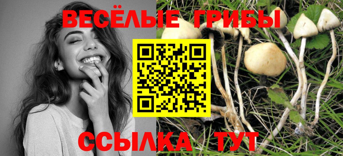Галлюциногенные грибы мицелий  Псилоцибиновые грибы Cubensis  Вход с VPN  Зеленокумск 