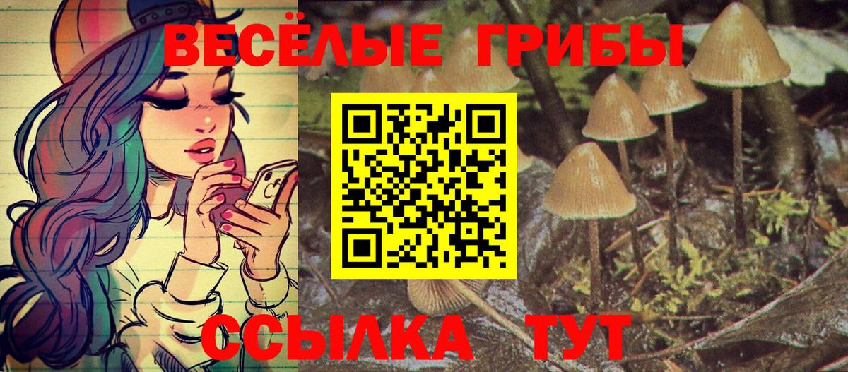 Псилоцибиновые грибы GOLDEN TEACHER Зеленокумск
